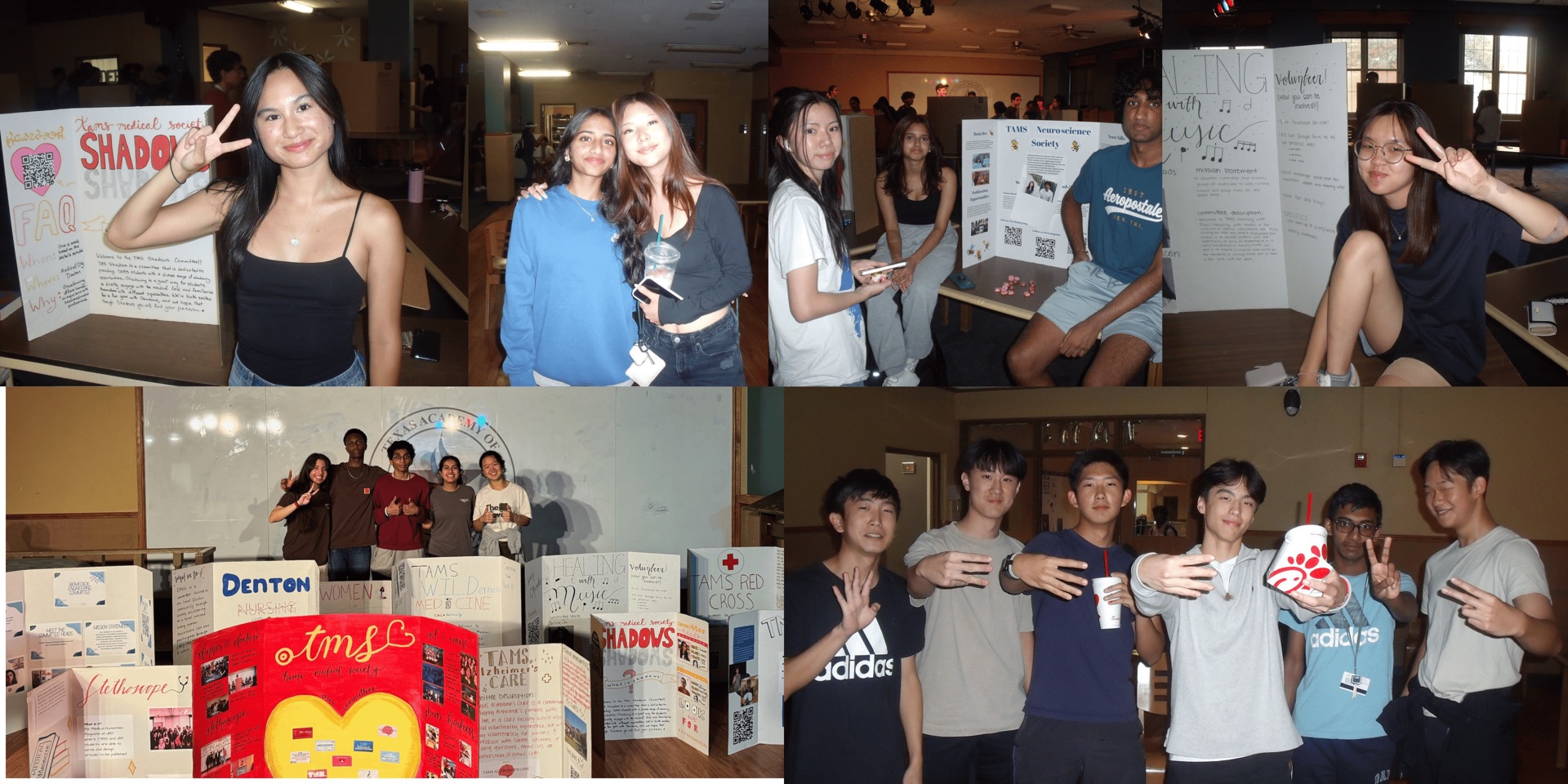 TMS Committees