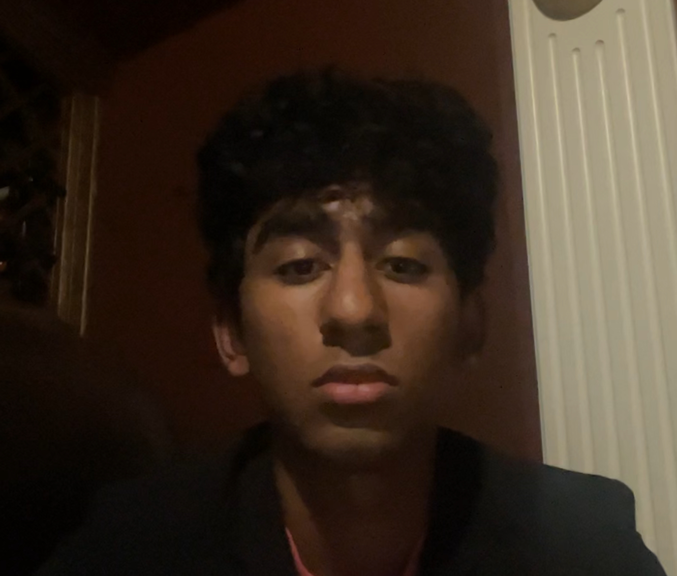 Anirudh Harish